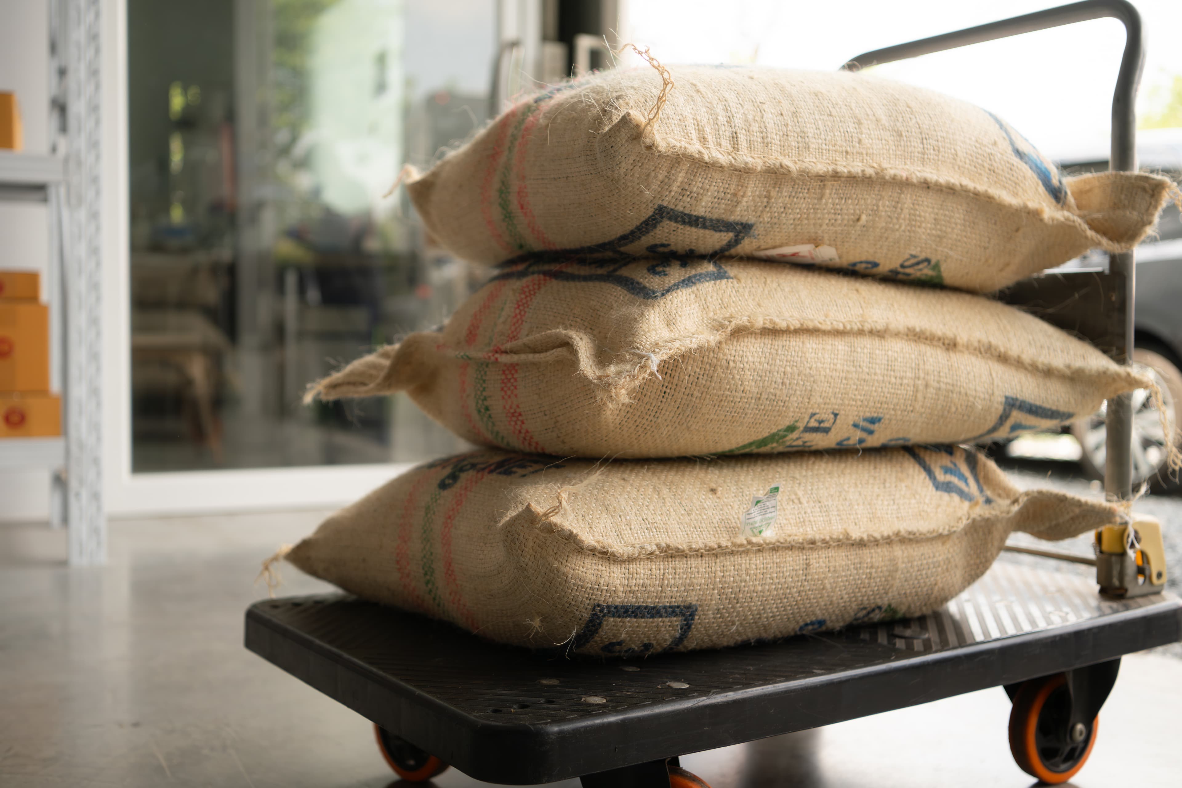 Binola export sacks with traditional blue stripe markings